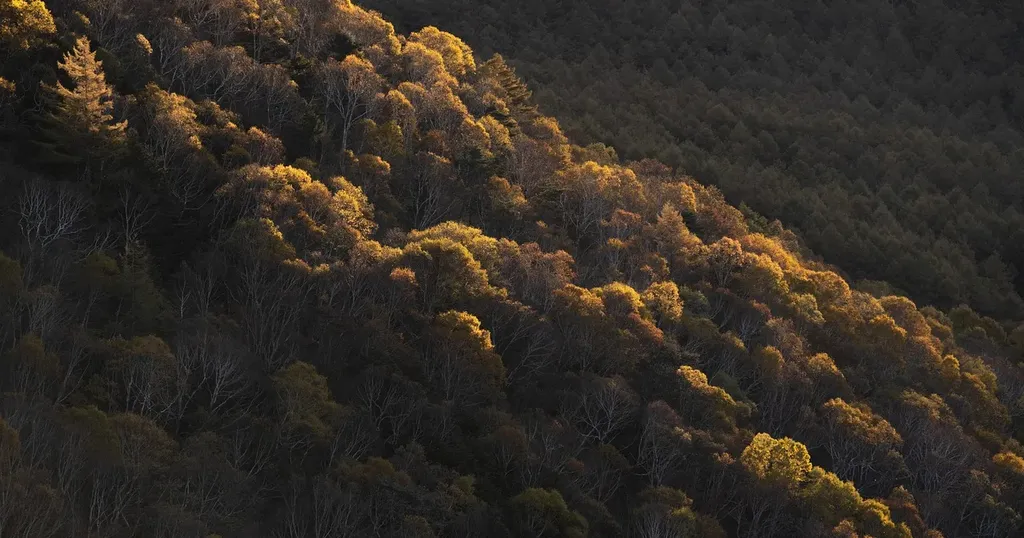 BlueFire Wilderness Lawsuit Shocking Allegations