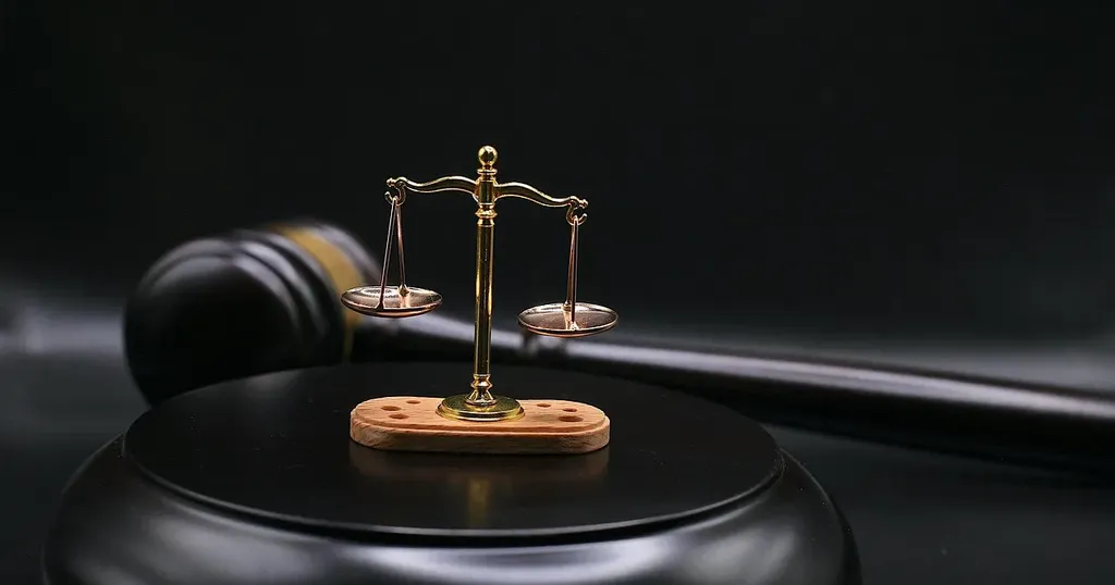 bluefirewilderness lawsuit 
